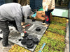 Green Roofing